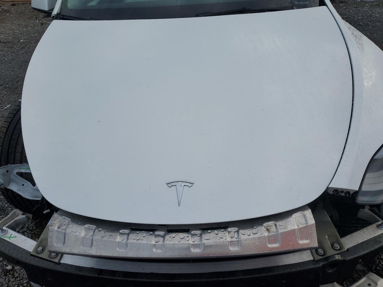 2023 Tesla Model Y VIN: 7SAYGDEF9PF897076 Lot: 71784135