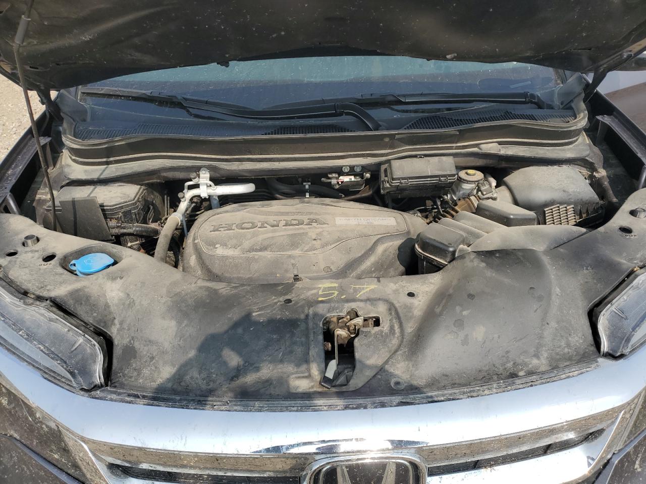 2020 Honda Pilot Exl VIN: 5FNYF6H52LB007428 Lot: 71036745