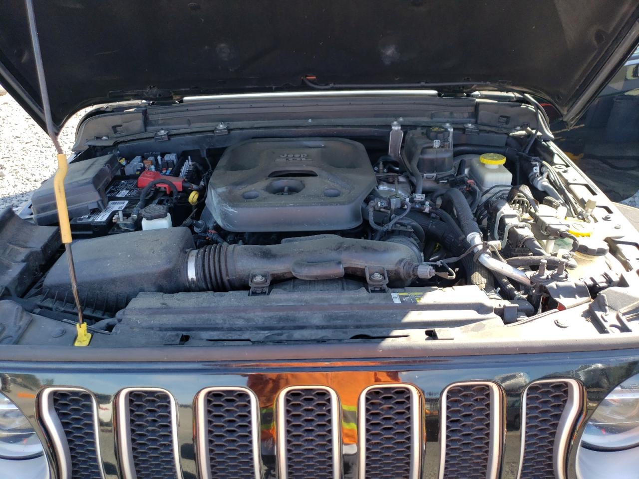 2020 Jeep Wrangler Unlimited Sahara VIN: 1C4HJXEN4LW209417 Lot: 80317205