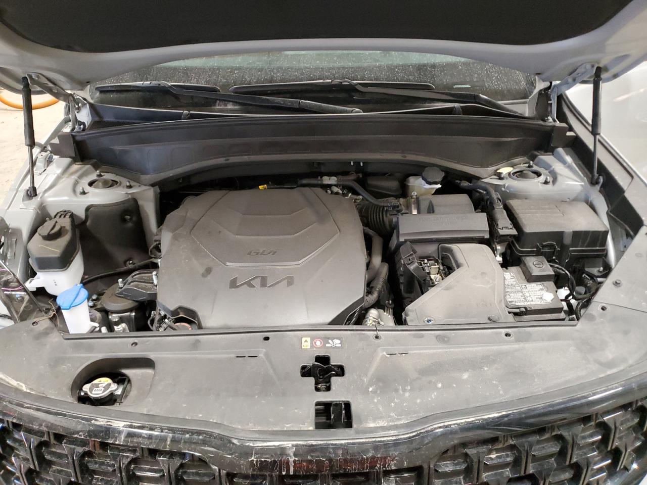 2024 Kia Telluride Sx VIN: 5XYP5DGC9RG560534 Lot: 71017755