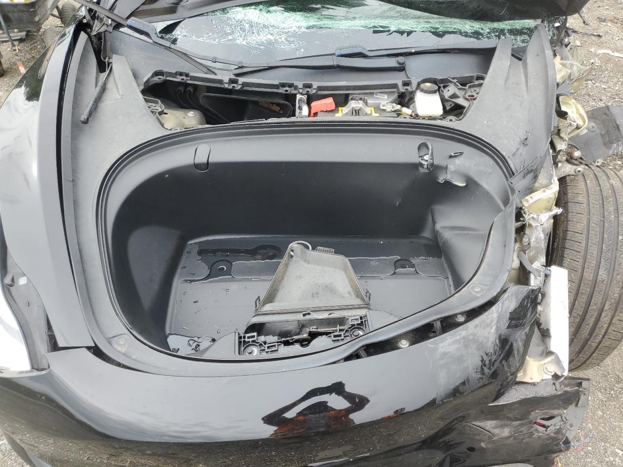 2019 Tesla Model 3 VIN: 5YJ3E1EA9KF416994 Lot: 84543345