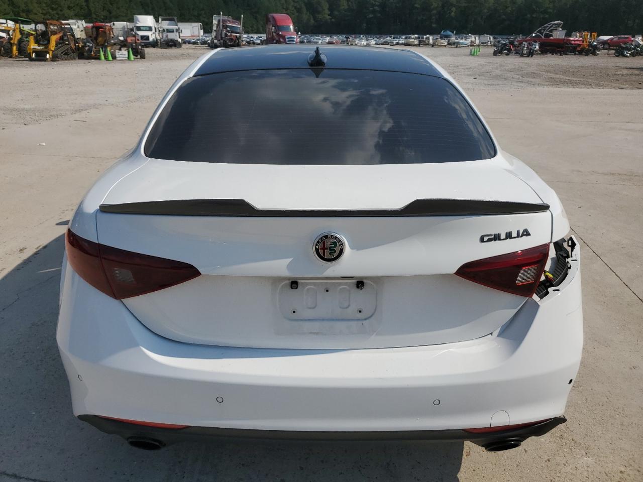 2019 Alfa Romeo Giulia VIN: ZARFAMAN1K7622177 Lot: 71700875