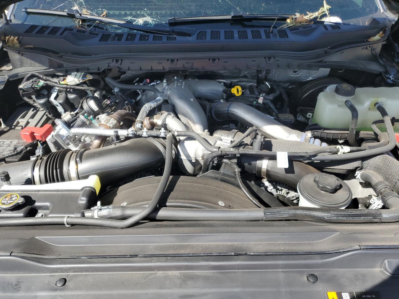 2025 Ford F250 Super Duty VIN: 1FT8W2BT0SEC53944 Lot: 81241485