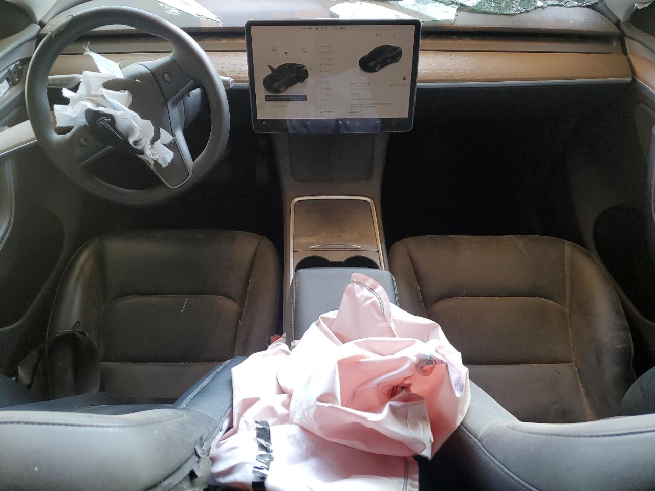 2023 Tesla Model Y VIN: 7SAYGDEE4PA114881 Lot: 80672285