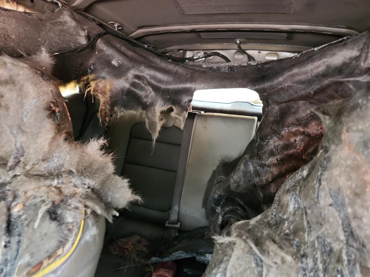 2025 Chevrolet Trax Activ VIN: KL77LKEP8SC124300 Lot: 84442185