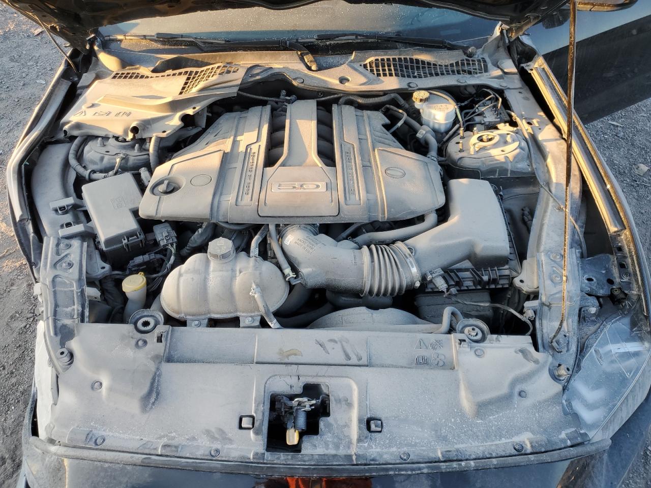 2020 Ford Mustang Gt VIN: 1FA6P8CF0L5105879 Lot: 80665245