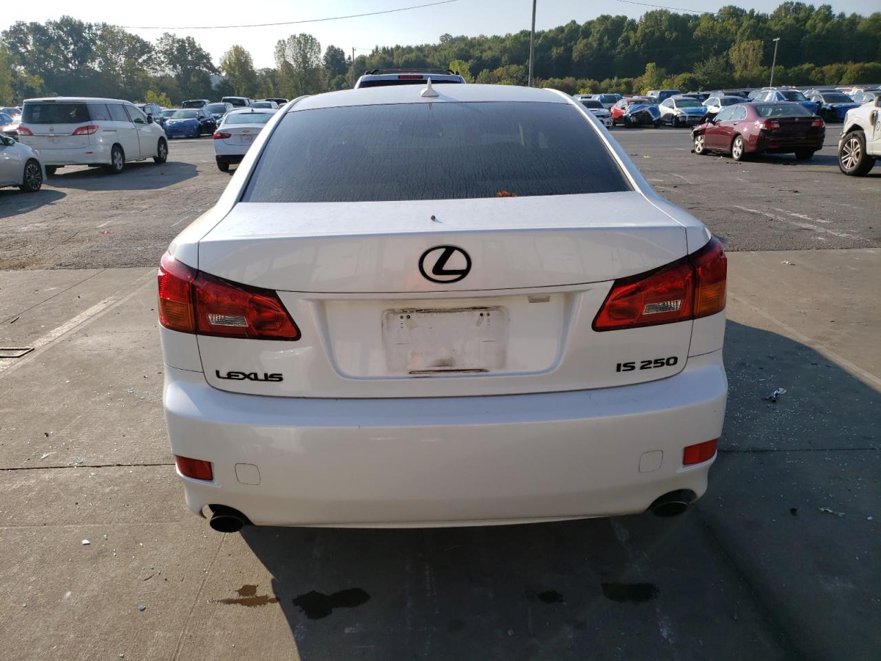 2008 Lexus Is 250 VIN: JTHBK262785083933 Lot: 72053815