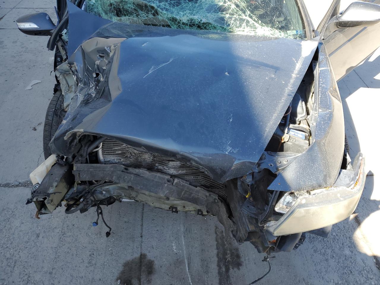 2007 Acura Tl VIN: 19UUA66267A045976 Lot: 81306635