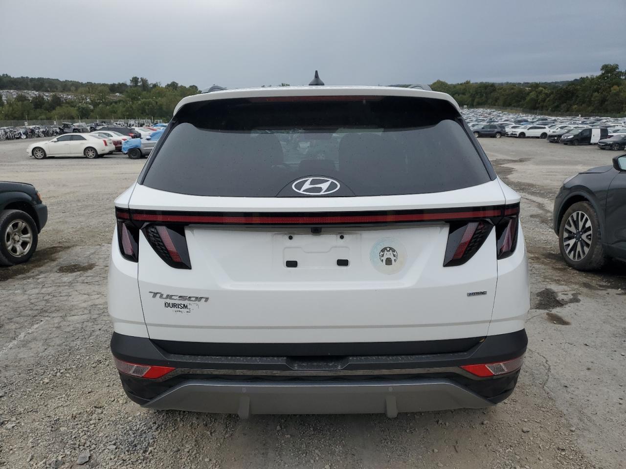 2024 Hyundai Tucson Limited VIN: 5NMJECDE4RH335403 Lot: 81049365