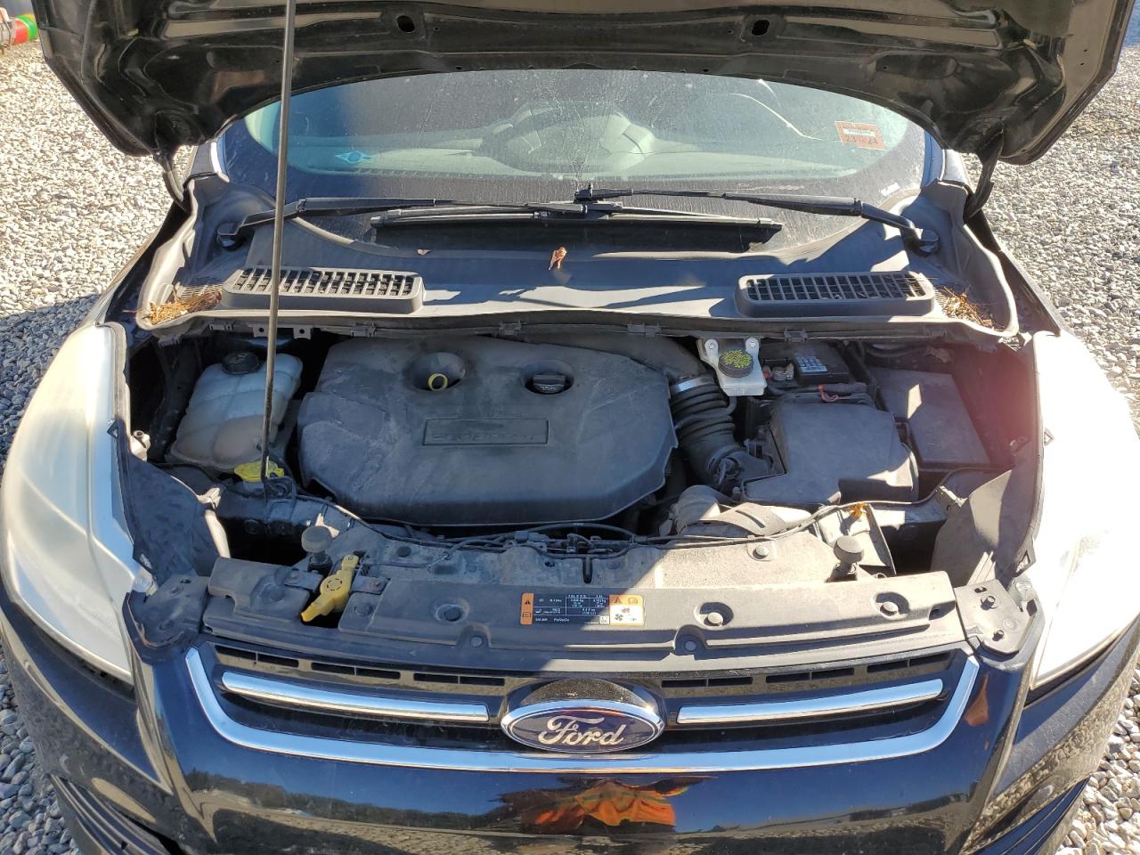 2016 Ford Escape Titanium VIN: 1FMCU9J92GUC90890 Lot: 81051645