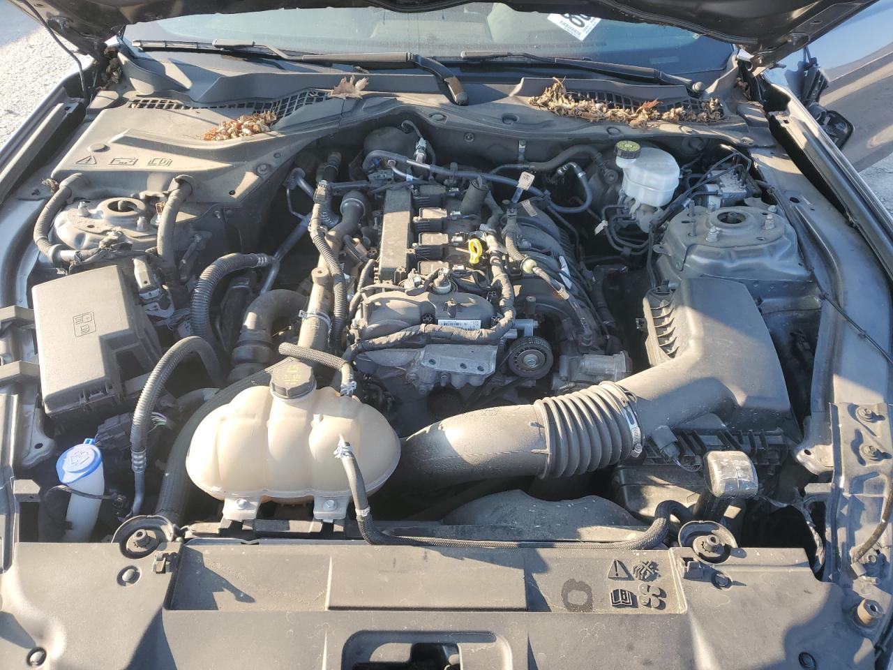 2021 Ford Mustang VIN: 1FA6P8TH5M5126973 Lot: 80519015