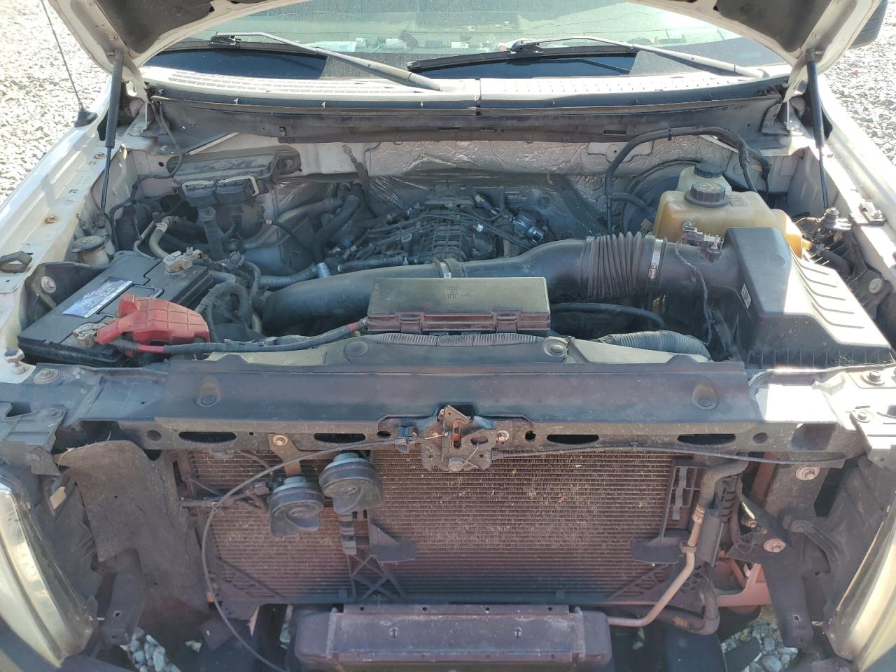 2012 Ford F150 VIN: 1FTNF1CT9CKE39044 Lot: 81768485