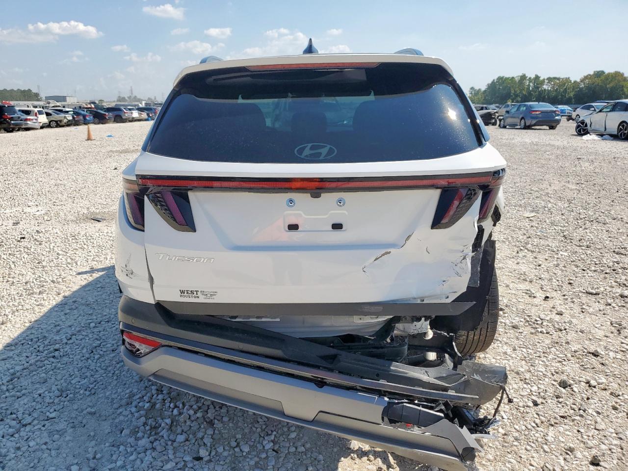 2025 Hyundai Tucson Limited VIN: 5NMJE3DE4SH494380 Lot: 71786205