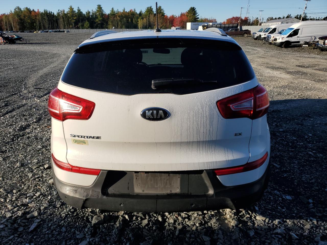 2013 Kia Sportage Ex VIN: KNDPC3A26D7546659 Lot: 81889145