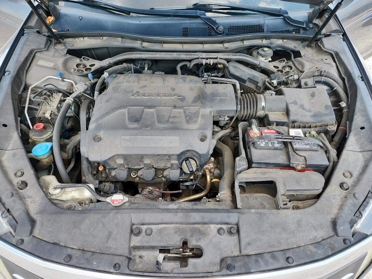 2012 Honda Crosstour Exl VIN: 5J6TF2H5XCL000558 Lot: 81636645