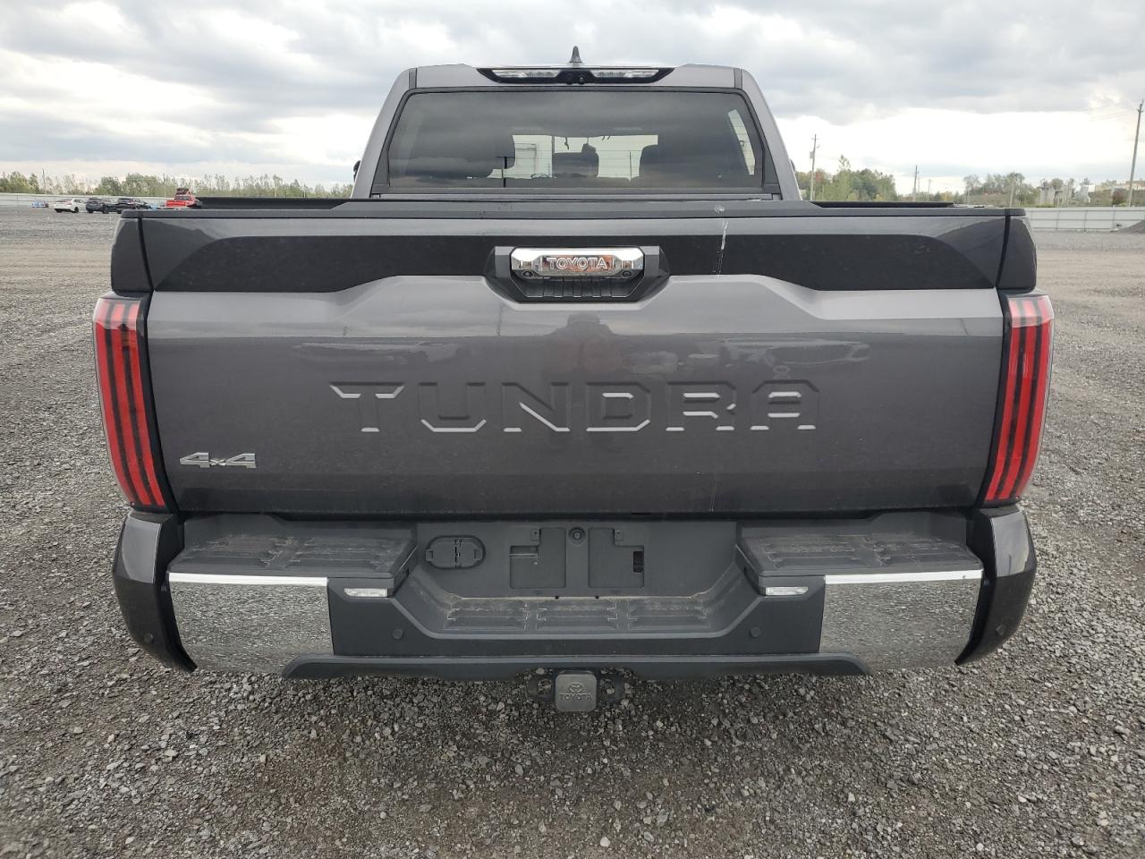 2022 Toyota Tundra Crewmax Platinum VIN: 5TFMA5DB6NX004981 Lot: 84383695