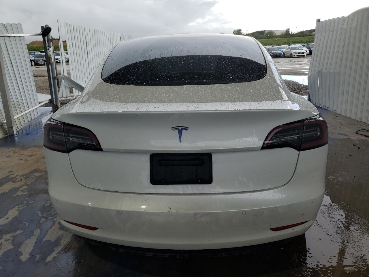 2021 Tesla Model 3 VIN: 5YJ3E1EAXMF045556 Lot: 80309235