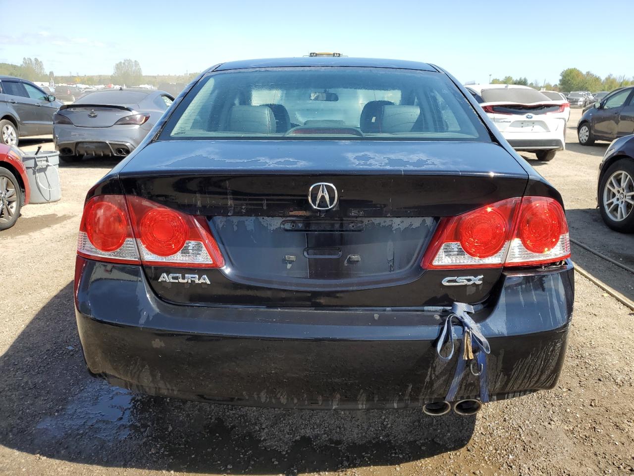 2008 Acura Csx VIN: 2HHFD56518H202638 Lot: 71792445