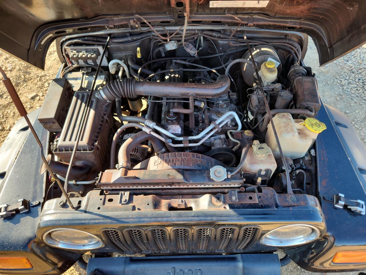 2001 Jeep Wrangler / Tj Sport VIN: 1J4FA49S81P319118 Lot: 81873175