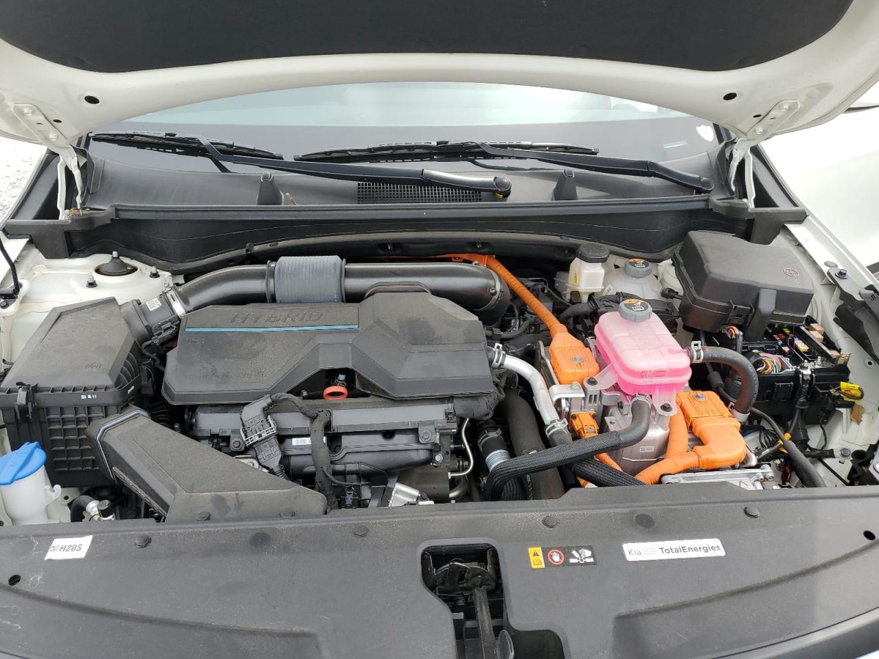 2023 Kia Sportage Lx VIN: KNDPUCAG1P7115157 Lot: 80629655