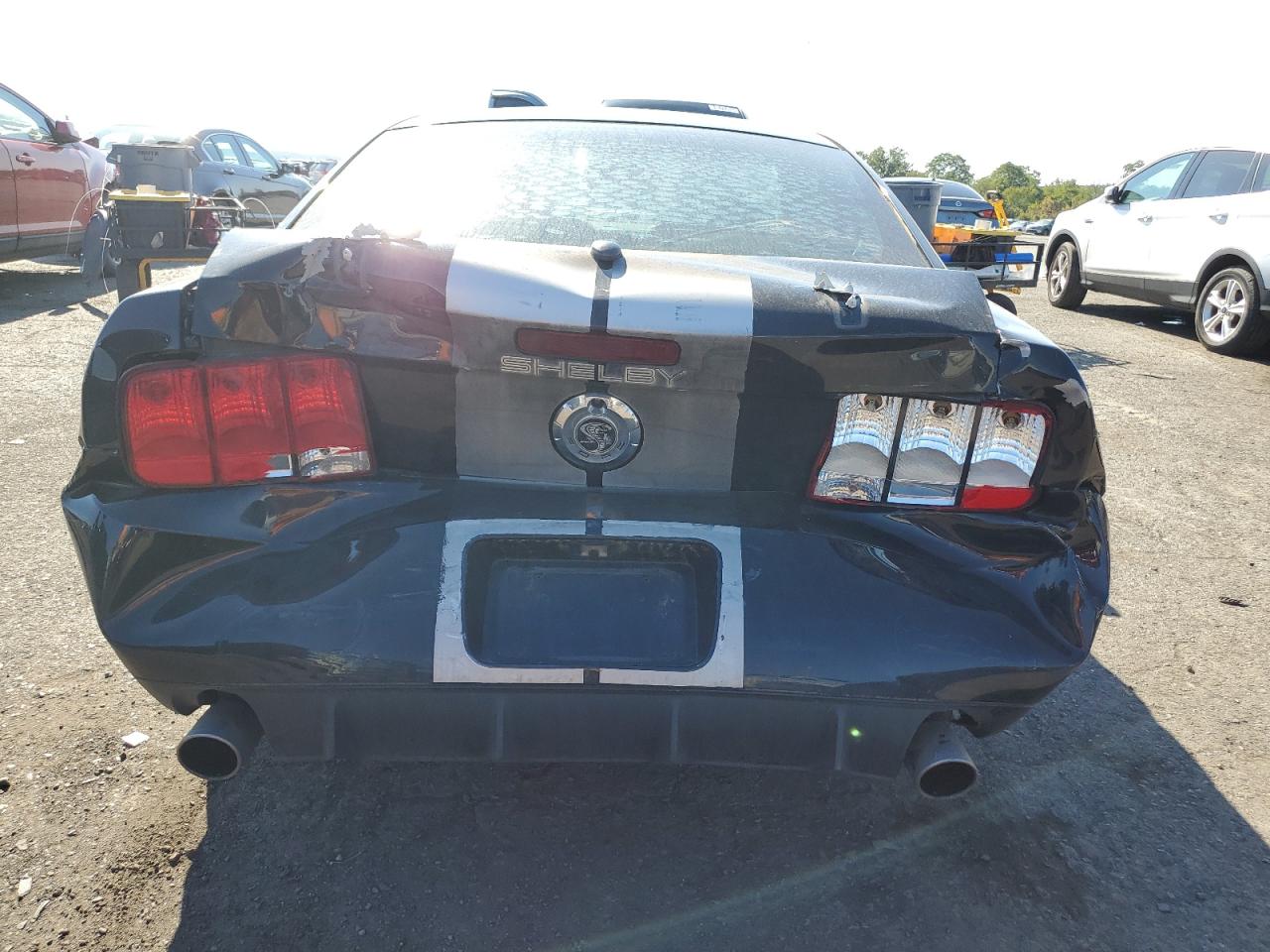 2007 Ford Mustang Gt VIN: 1ZVHT82HX75303759 Lot: 81106005