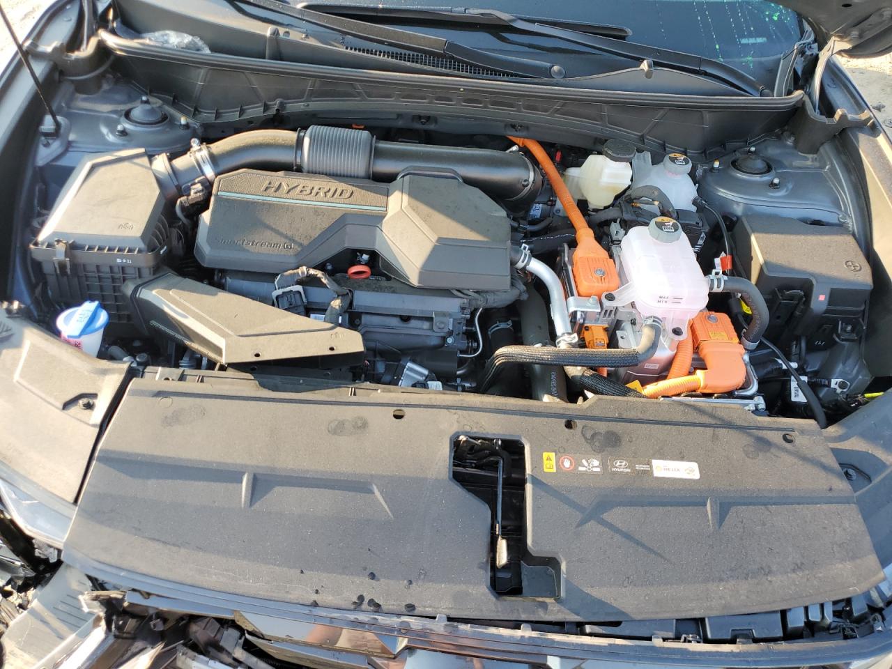 2025 Hyundai Tucson Blue VIN: KM8JBDD1XSU313458 Lot: 81143075