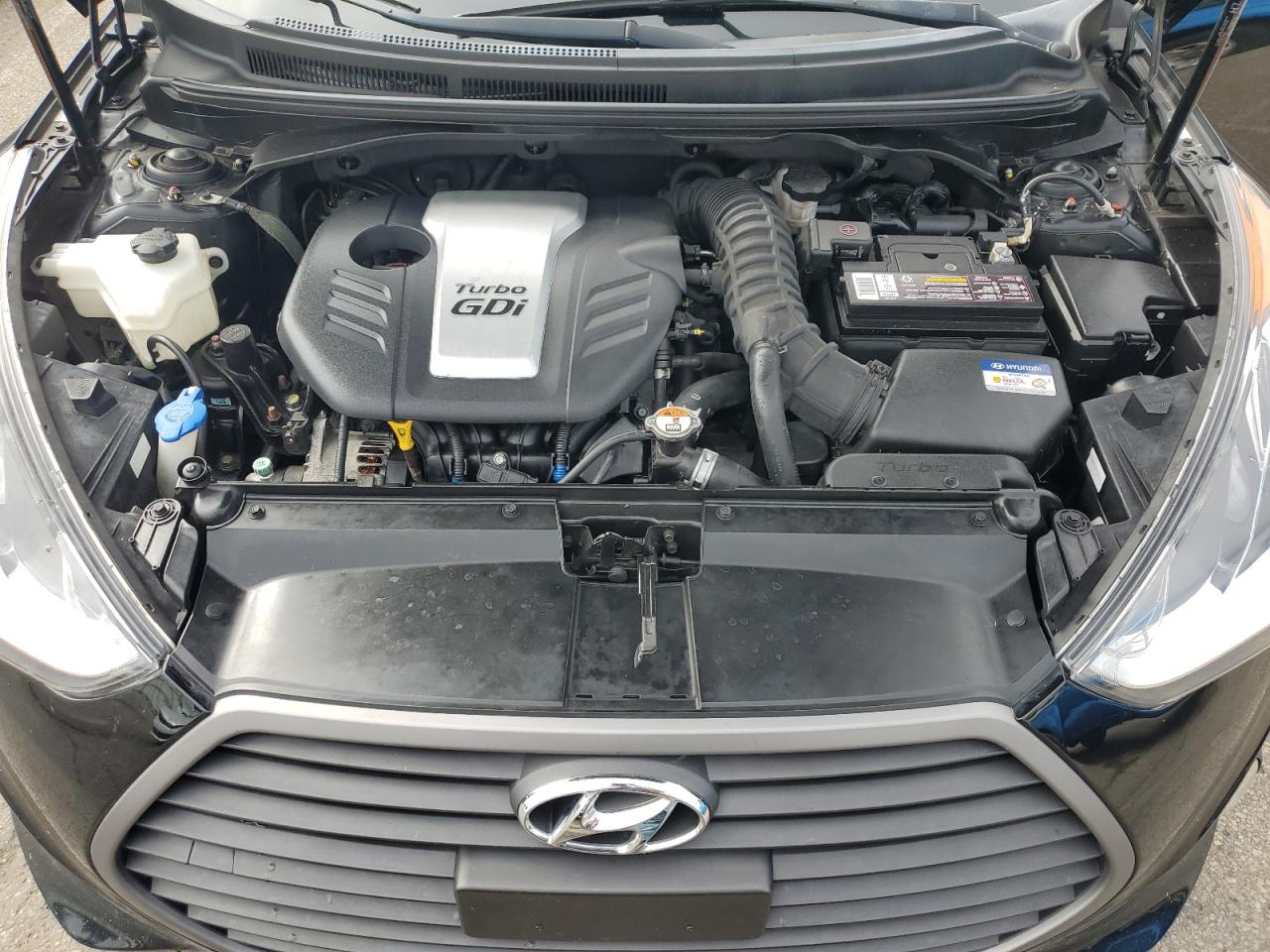 2016 Hyundai Veloster Turbo VIN: KMHTC6AE4GU264337 Lot: 81756725