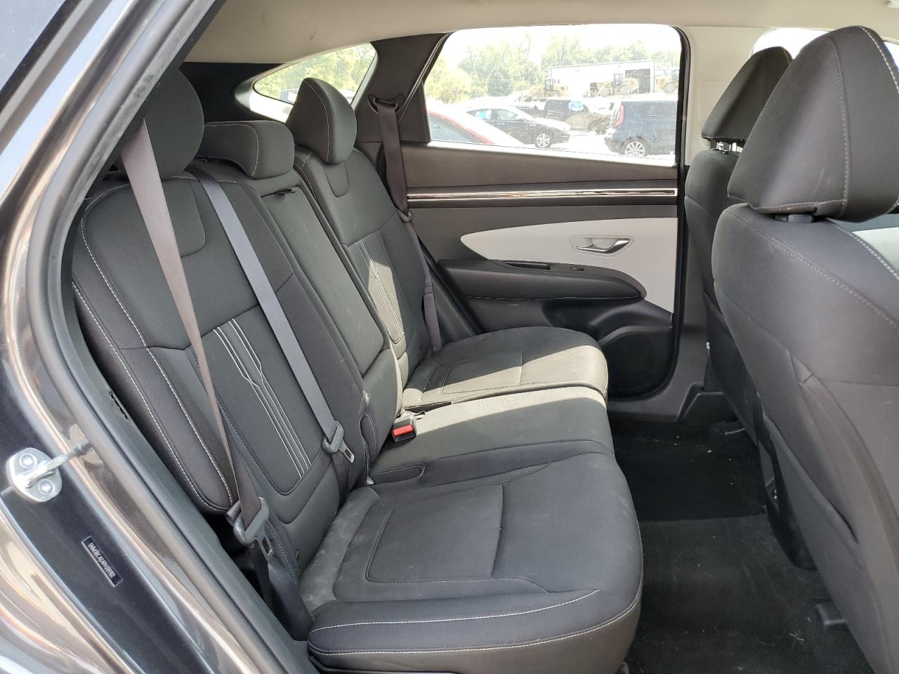 2023 Hyundai Tucson Sel VIN: 5NMJBCAE4PH209102 Lot: 81286485