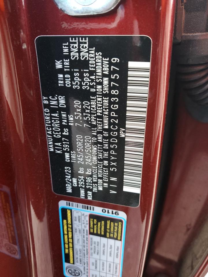 2023 Kia Telluride Sx VIN: 5XYP5DGC2PG387579 Lot: 71462455