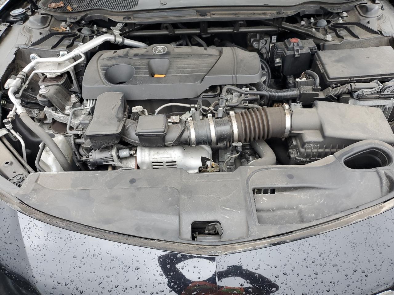 2023 Acura Tlx VIN: 19UUB6F35MA005602 Lot: 80786415