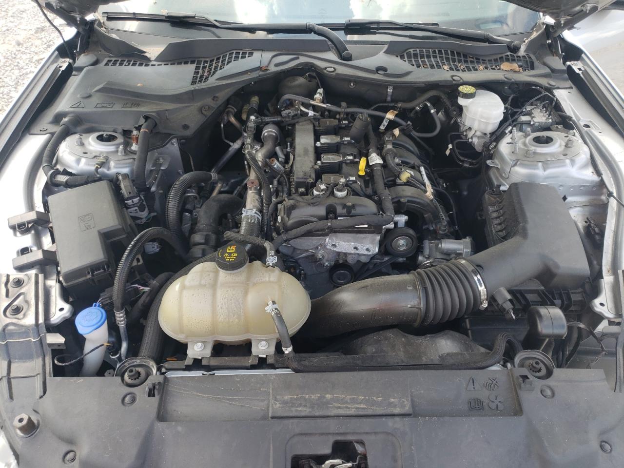 2021 Ford Mustang VIN: 1FA6P8TH6M5134399 Lot: 80547865