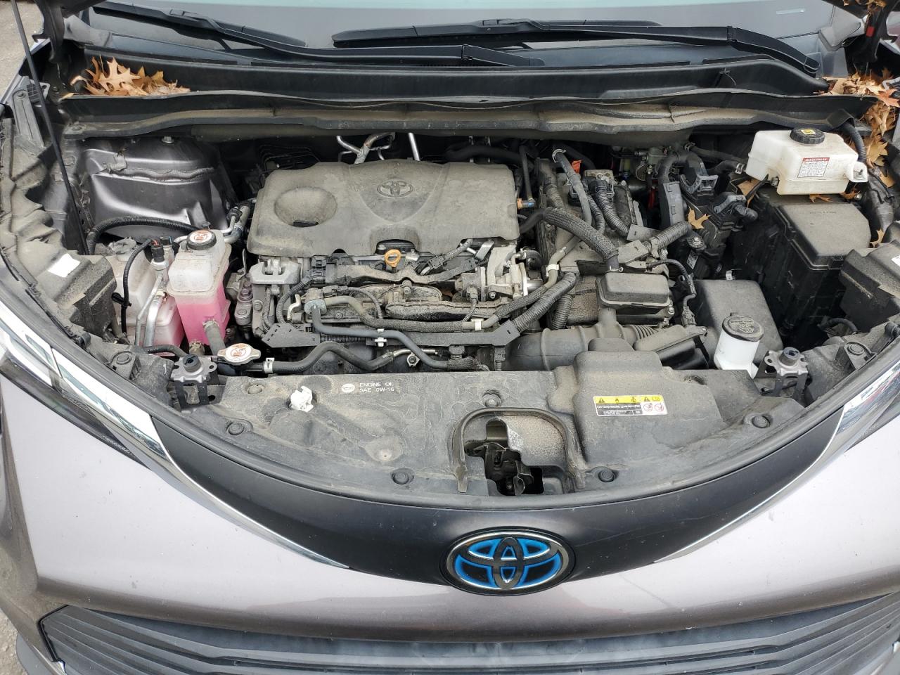 2021 Toyota Sienna Xle VIN: 5TDYRKEC3MS027493 Lot: 83945605