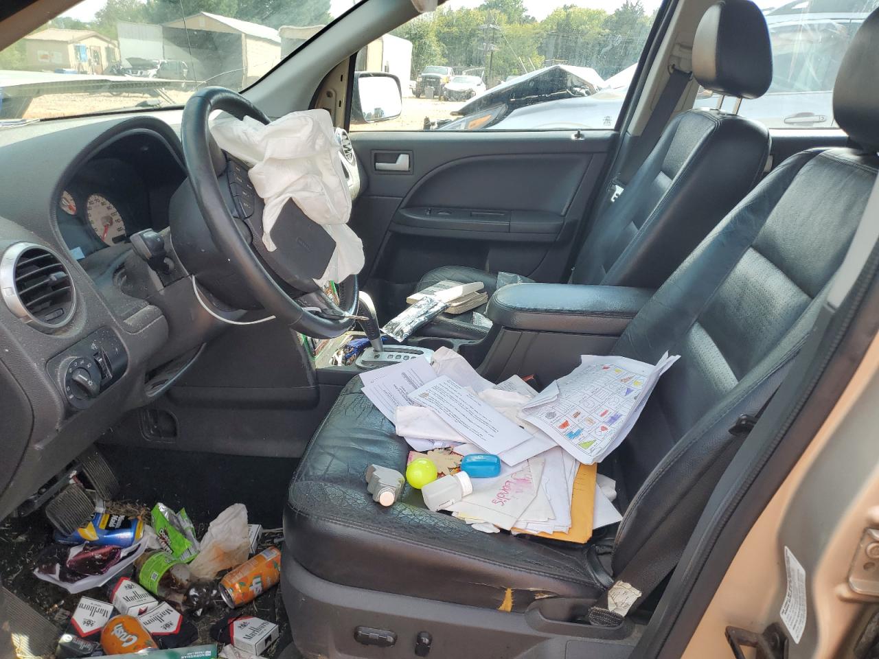 2007 Ford Freestyle VIN: 1FMDK06117GA15101 Lot: 81771405