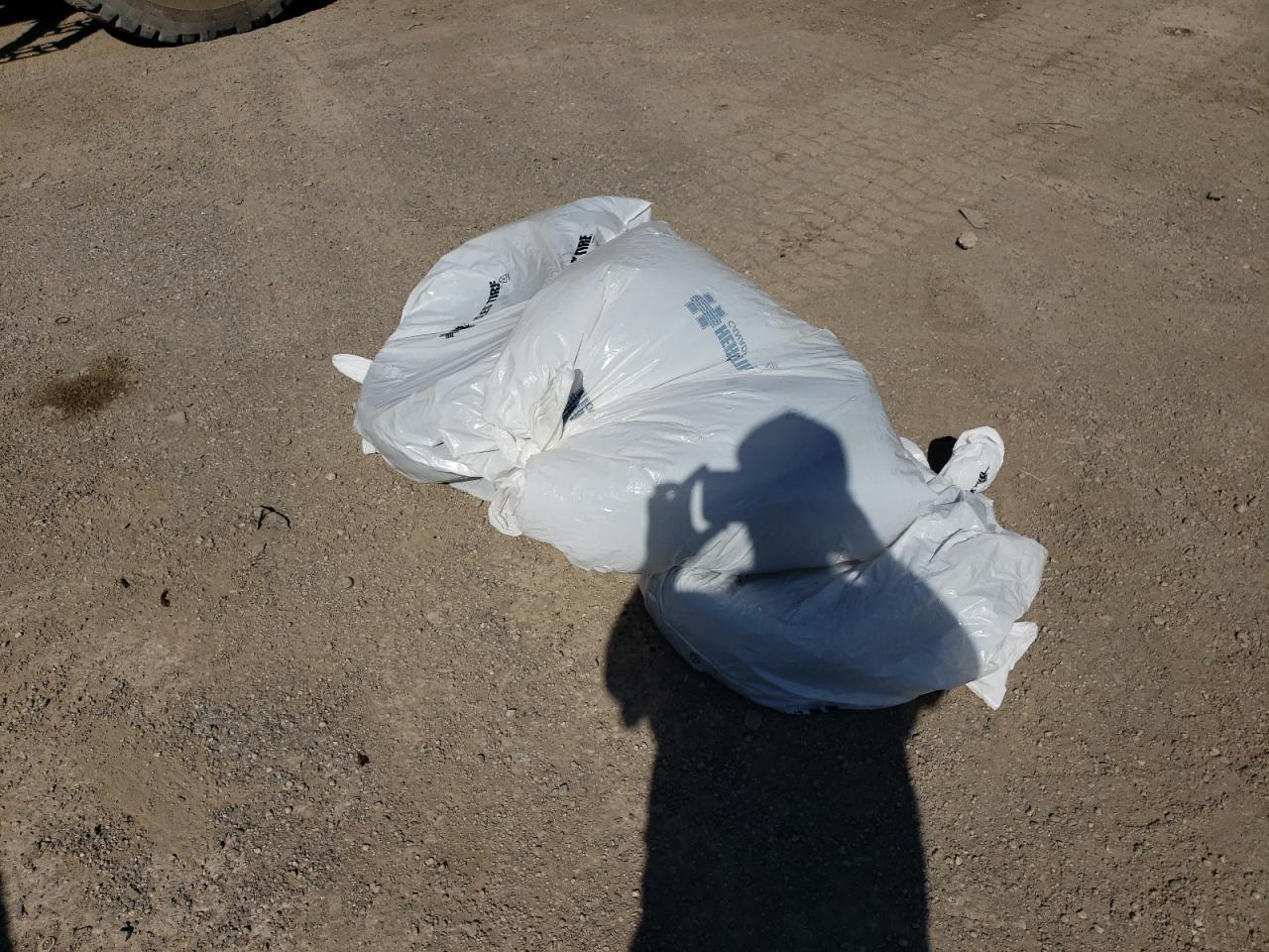 2005 Toyota Echo VIN: JTDBT123150351715 Lot: 81879985