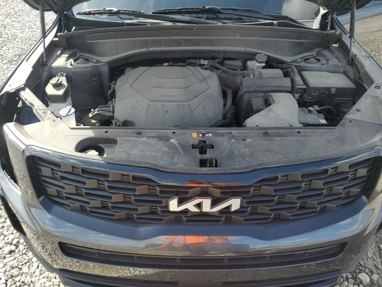 2022 Kia Telluride Ex VIN: 5XYP3DHC2NG250725 Lot: 81279465