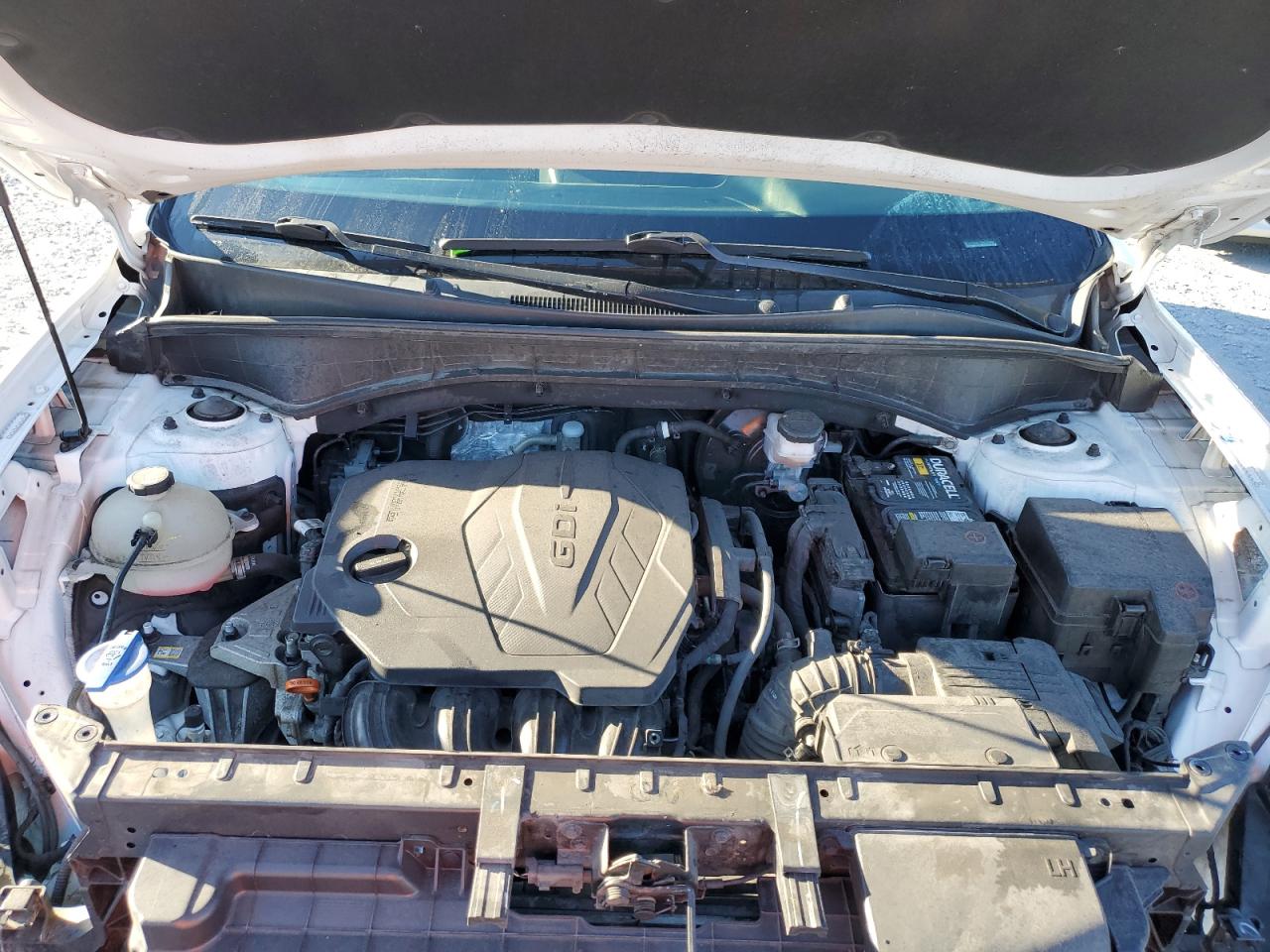 2021 Kia Sorento Lx VIN: 5XYRG4LC5MG029445 Lot: 82125375