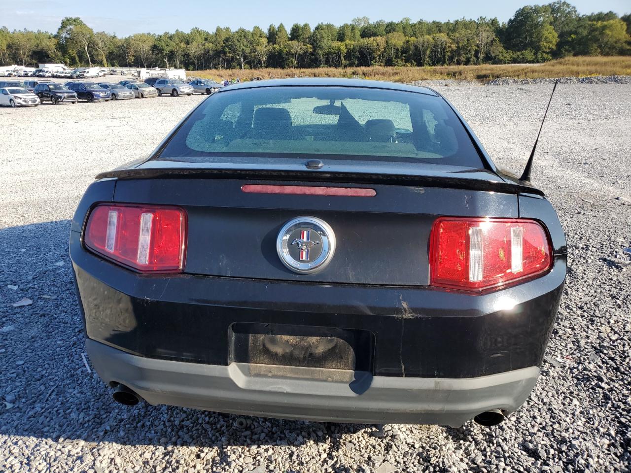 2012 Ford Mustang VIN: 1ZVBP8AM1C5271304 Lot: 81899255