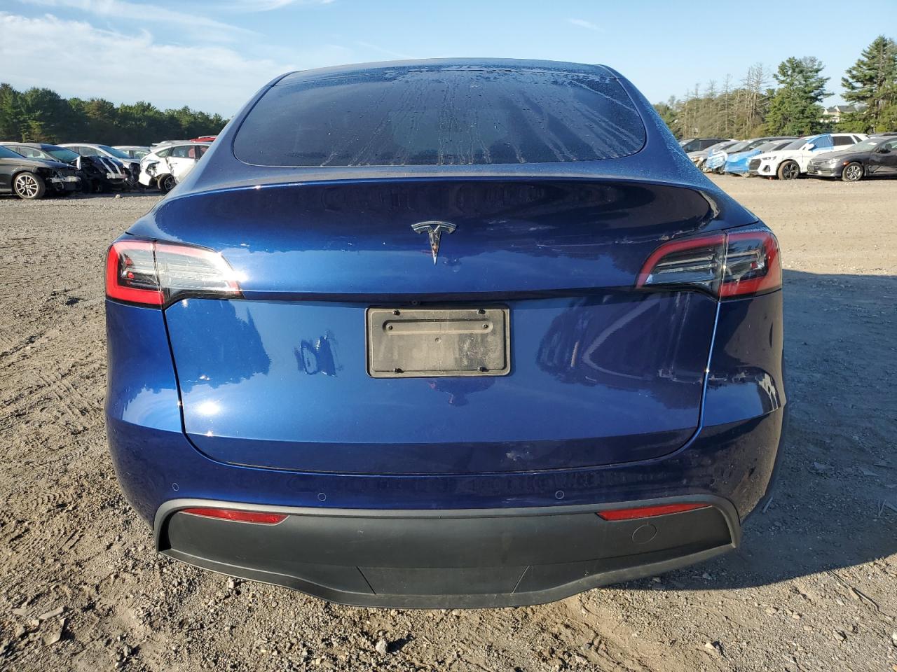 2021 Tesla Model Y VIN: 5YJYGDED1MF121029 Lot: 71233775