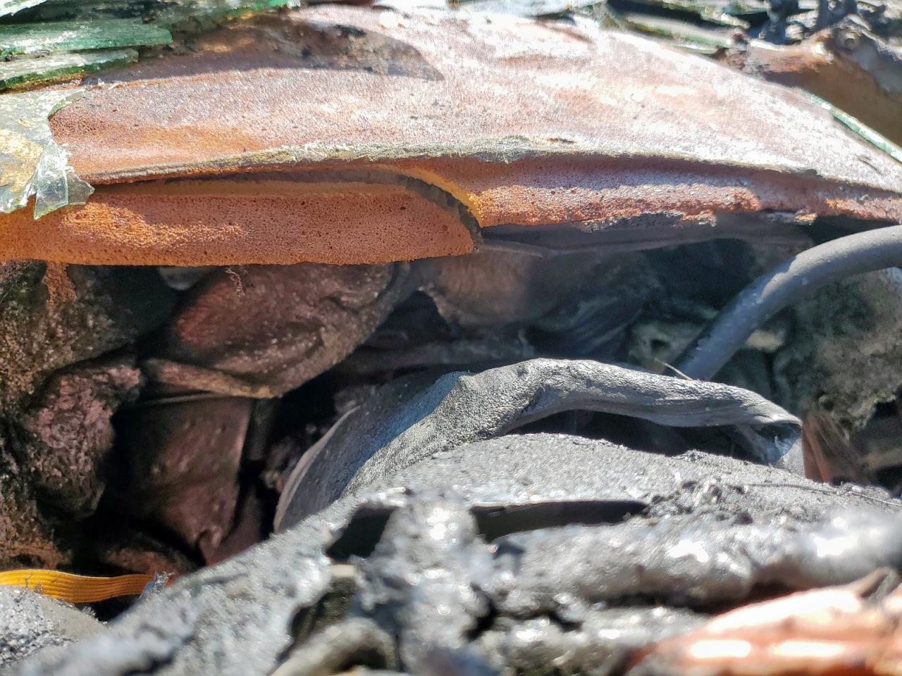 2005 Ford Ranger VIN: 1FTYR10U75PA59823 Lot: 80990025