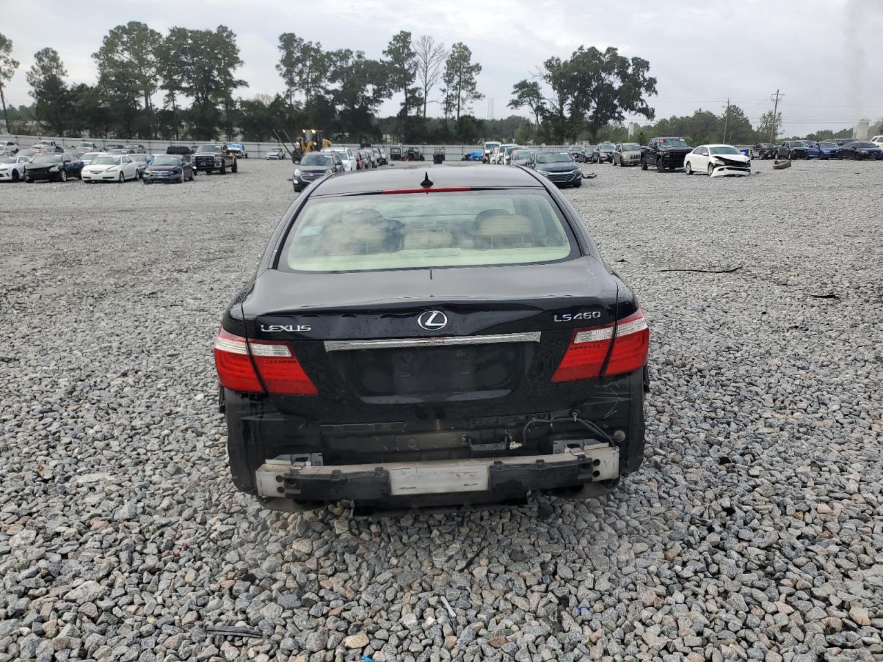 2007 Lexus Ls 460 VIN: JTHBL46F975029852 Lot: 81792525