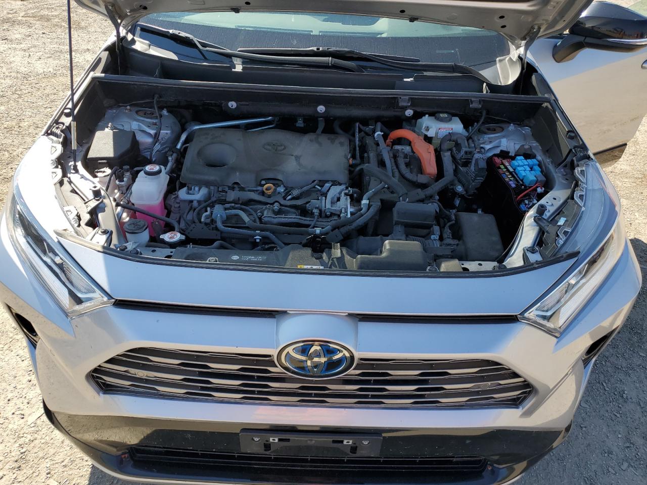 2021 Toyota Rav4 Xle VIN: 2T3RWRFV1MW122655 Lot: 80310815