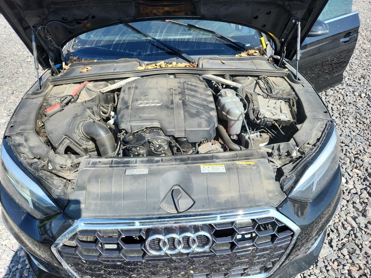 2021 Audi A5 Premium 45 VIN: WAUDACF54MA044387 Lot: 81331075