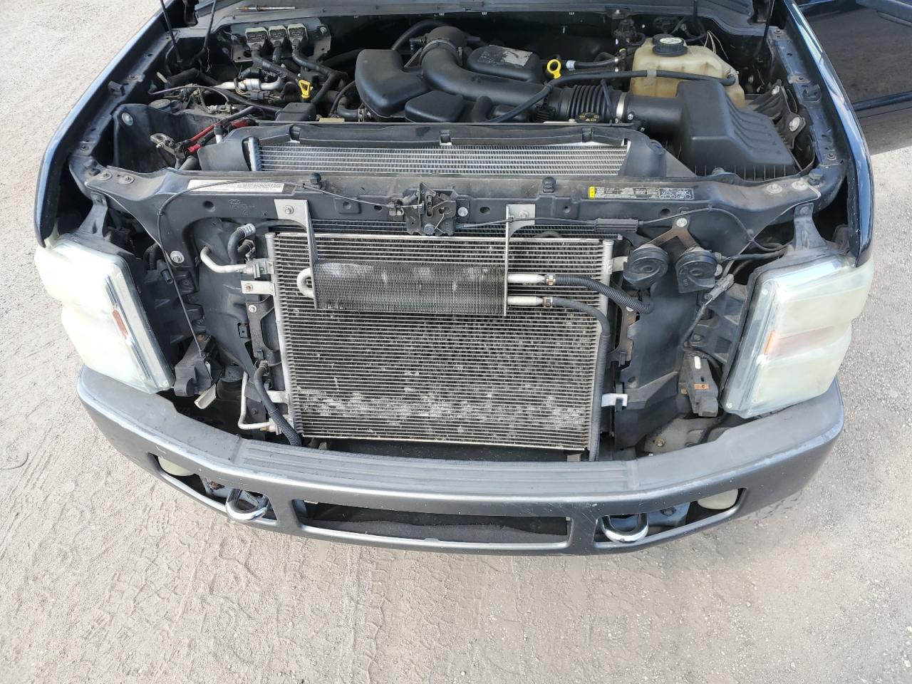 2008 Ford F250 Super Duty VIN: 1FTSX21588EE01465 Lot: 81455095