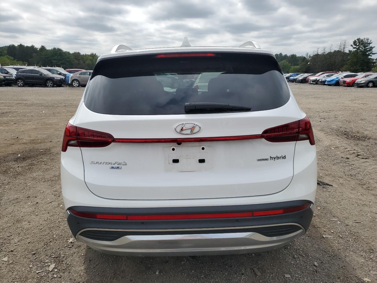 2023 Hyundai Santa Fe Blue VIN: 5NMS2DA10PH013519 Lot: 81622385