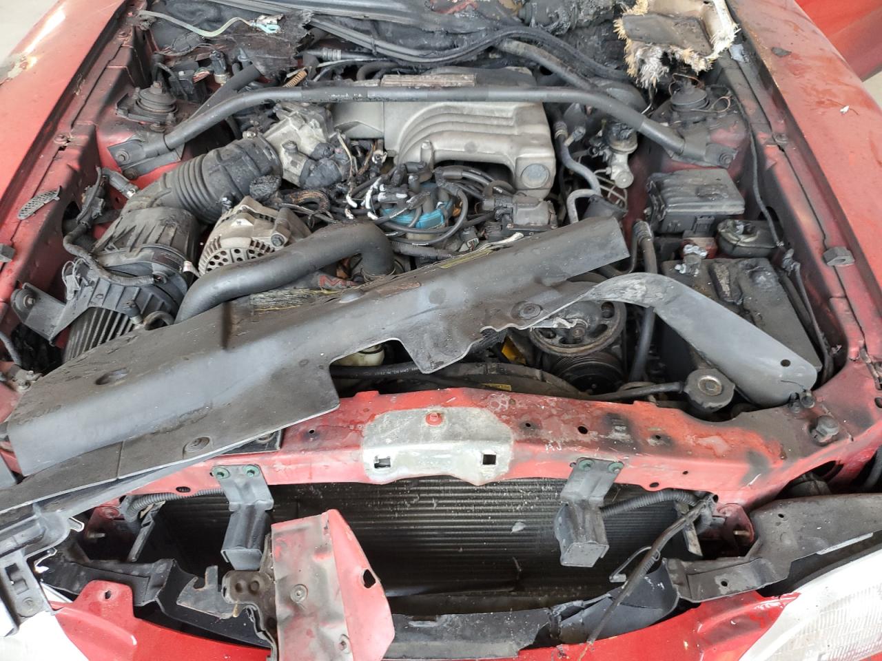 1995 Ford Mustang Gt VIN: 1FALP45T0SF185546 Lot: 80795705