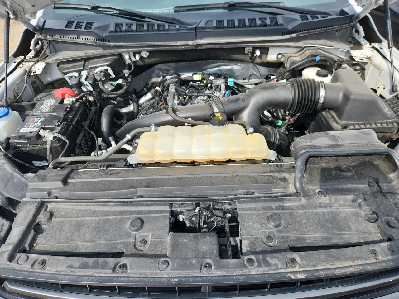 2020 Ford F150 Supercrew VIN: 1FTEW1EP8LFA00880 Lot: 81434995