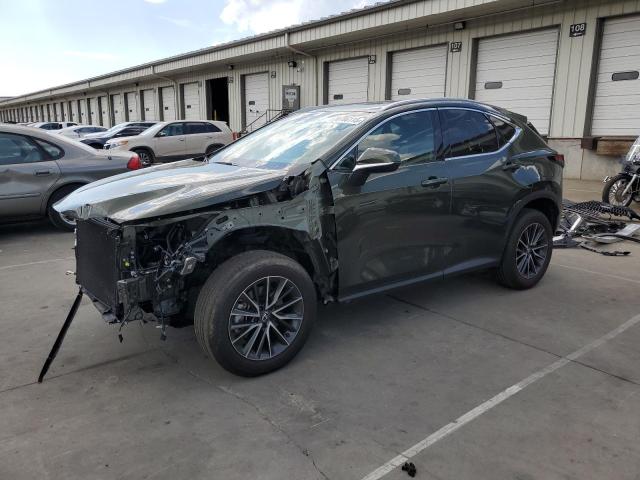 LEXUS NX 350 BAS 2024