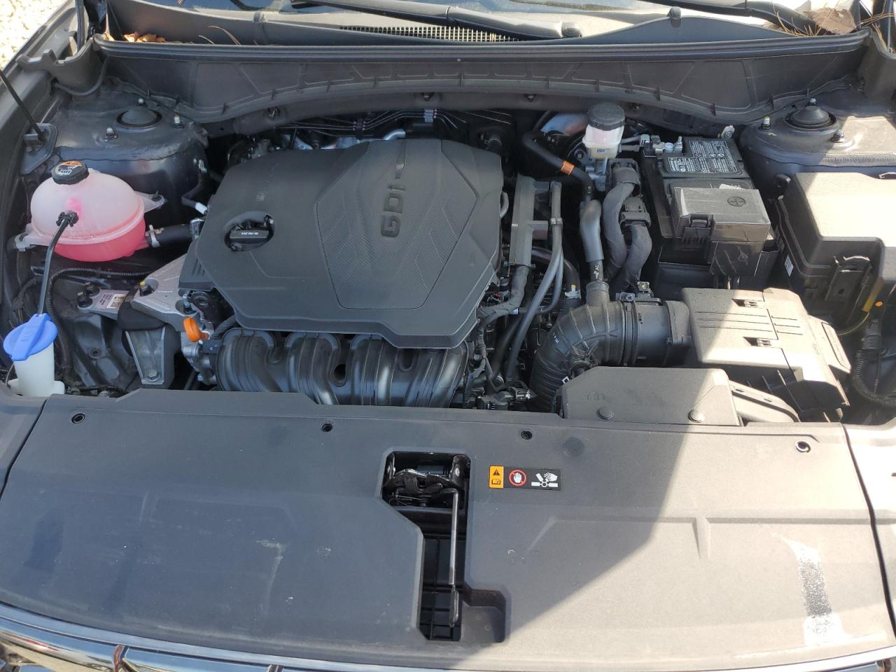 2024 Hyundai Tucson Limited VIN: 5NMJECDEXRH344316 Lot: 80693895