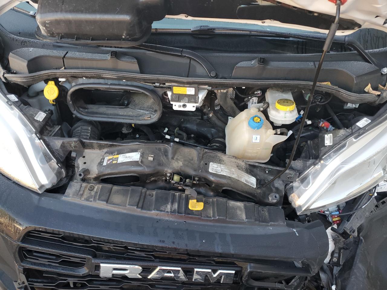 2023 Ram Promaster 2500 2500 High VIN: 3C6LRVDG4PE552861 Lot: 82064685