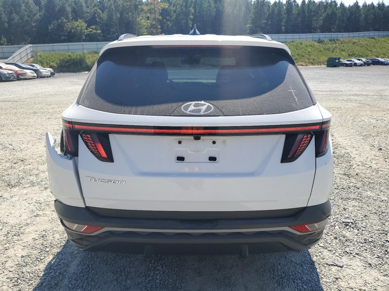 2023 Hyundai Tucson Sel VIN: 5NMJF3AE7PH187083 Lot: 81181895